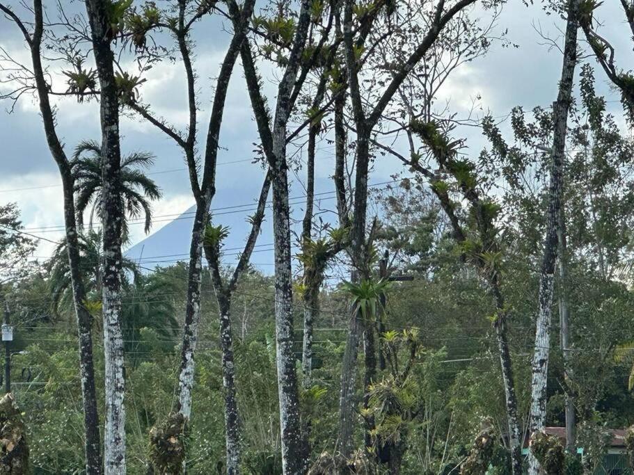 Casa Roble Fortuna La Fortuna Екстериор снимка