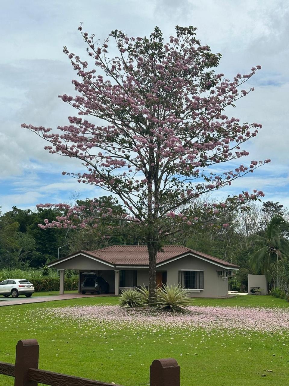 Casa Roble Fortuna La Fortuna Екстериор снимка